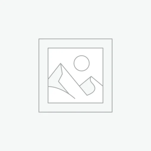 CHRS Feasibility Report